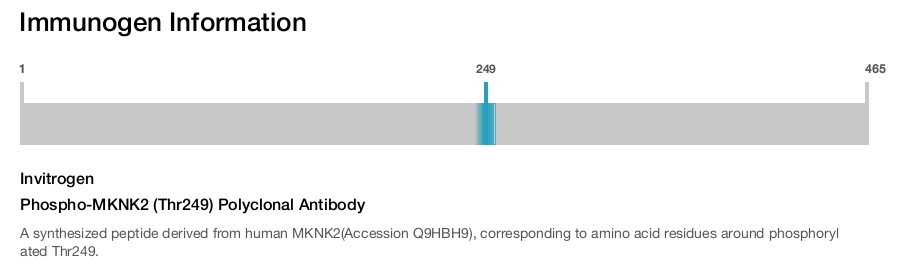 Phospho-MKNK2 (Thr249) Polyclonal Antibody