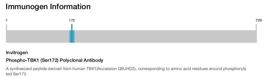 Phospho-TBK1 (Ser172) Polyclonal Antibody