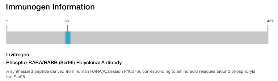 Phospho-RARA/RARB (Ser96) Polyclonal Antibody