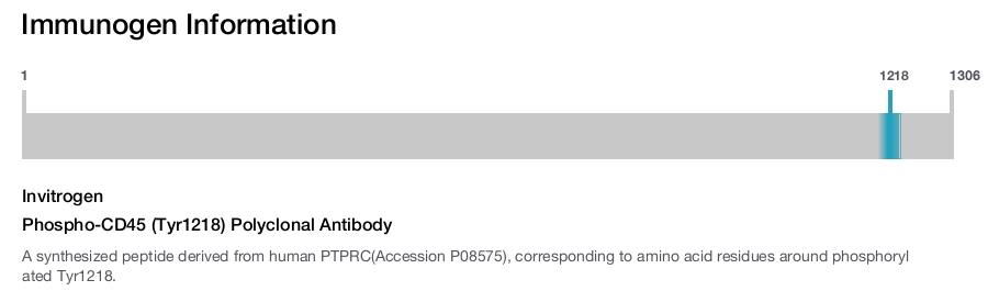 Phospho-CD45 (Tyr1218) Polyclonal Antibody