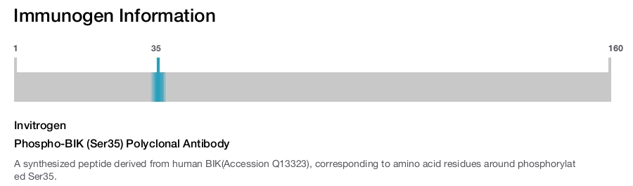 Phospho-BIK (Ser35) Polyclonal Antibody