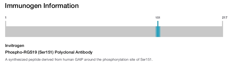 Phospho-RGS19 (Ser151) Polyclonal Antibody