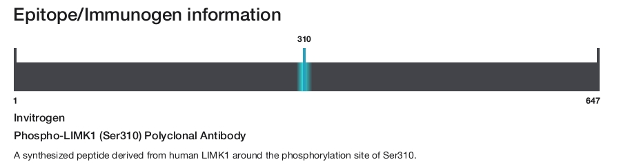 Phospho-LIMK1 (Ser310) Polyclonal Antibody