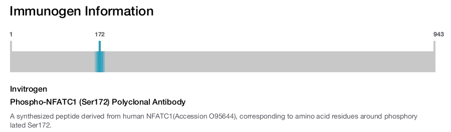 Phospho-NFATC1 (Ser172) Polyclonal Antibody