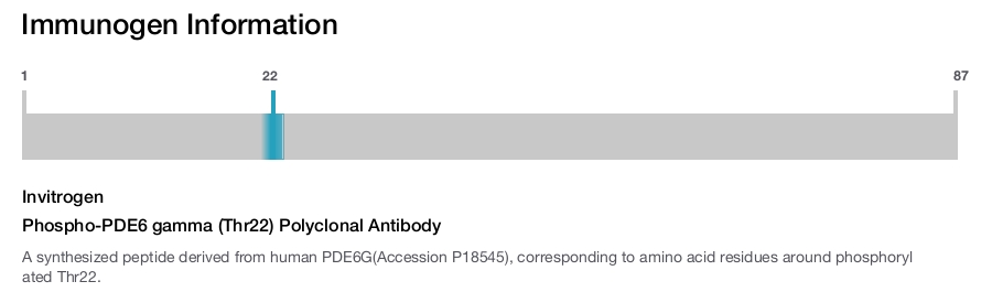 Phospho-PDE6 gamma (Thr22) Polyclonal Antibody