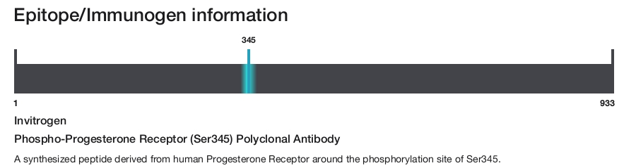 Phospho-Progesterone Receptor (Ser345) Polyclonal Antibody