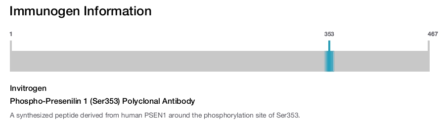Phospho-Presenilin 1 (Ser353) Polyclonal Antibody