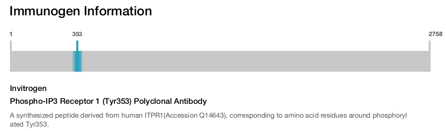 Phospho-IP3 Receptor 1 (Tyr353) Polyclonal Antibody