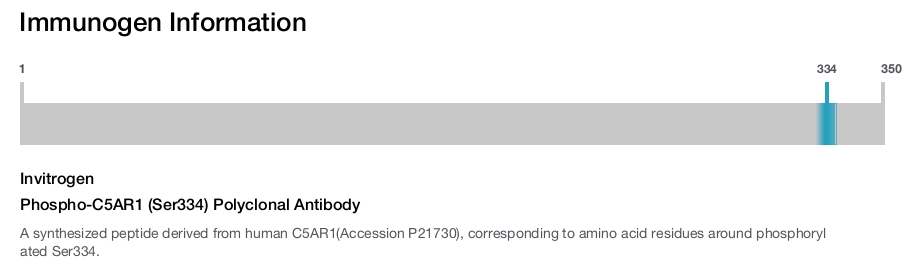 Phospho-C5AR1 (Ser334) Polyclonal Antibody