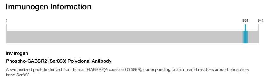 Phospho-GABBR2 (Ser893) Polyclonal Antibody