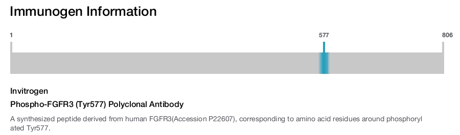 Phospho-FGFR3 (Tyr577) Polyclonal Antibody