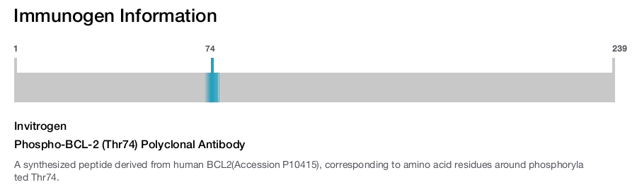 Phospho-BCL-2 (Thr74) Polyclonal Antibody