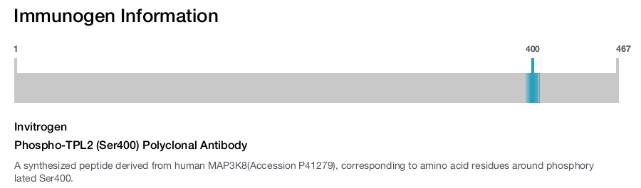 Phospho-TPL2 (Ser400) Polyclonal Antibody