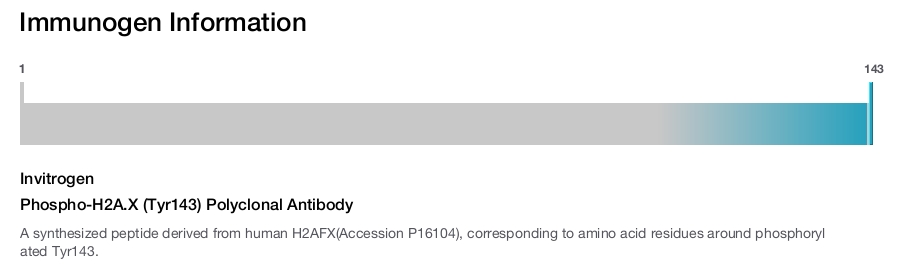 Phospho-H2A.X (Tyr143) Polyclonal Antibody