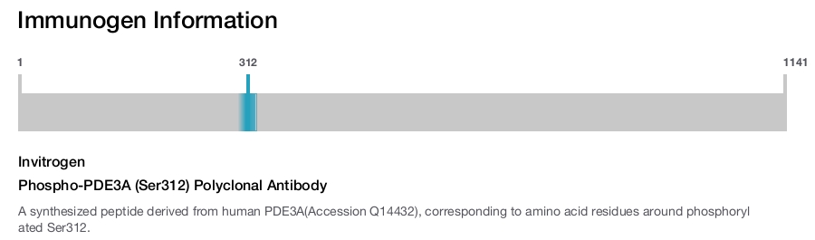 Phospho-PDE3A (Ser312) Polyclonal Antibody