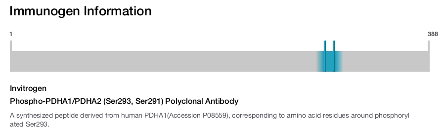 Phospho-PDHA1/PDHA2 (Ser293, Ser291) Polyclonal Antibody