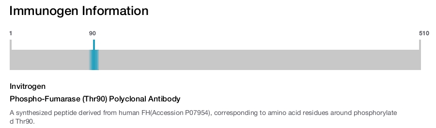Phospho-Fumarase (Thr90) Polyclonal Antibody