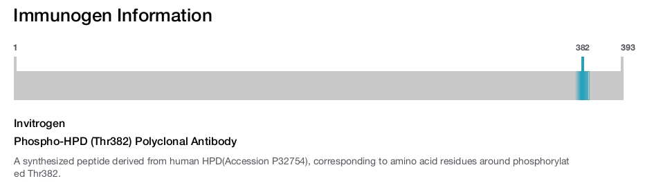 Phospho-HPD (Thr382) Polyclonal Antibody