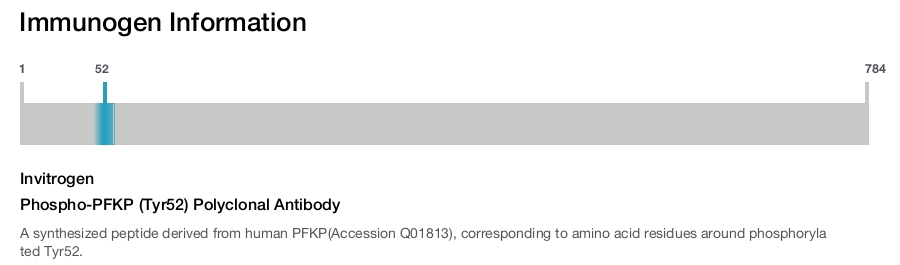 Phospho-PFKP (Tyr52) Polyclonal Antibody