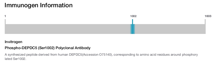 Phospho-DEPDC5 (Ser1002) Polyclonal Antibody