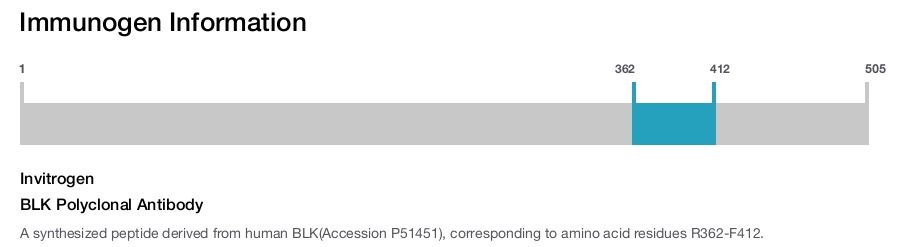 BLK Polyclonal Antibody