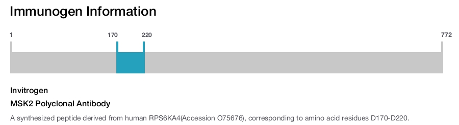 MSK2 Polyclonal Antibody