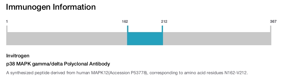 p38 MAPK gamma/delta Polyclonal Antibody