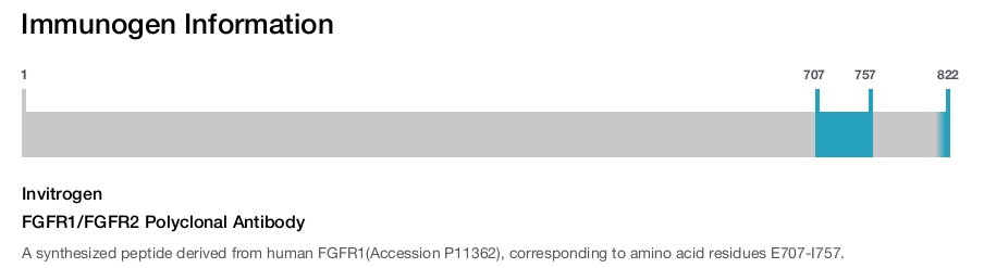 FGFR1/FGFR2 Polyclonal Antibody