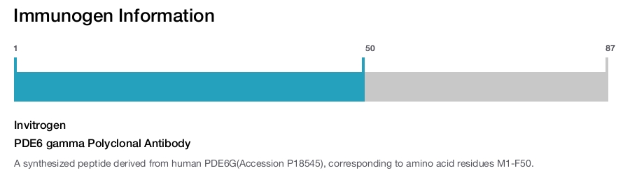 PDE6 gamma Polyclonal Antibody