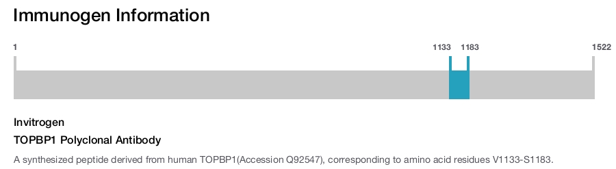 TOPBP1 Polyclonal Antibody