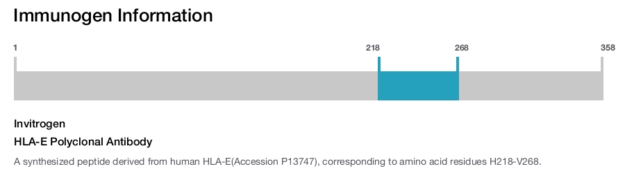 HLA-E Polyclonal Antibody
