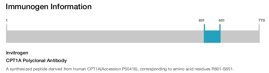 CPT1A Polyclonal Antibody