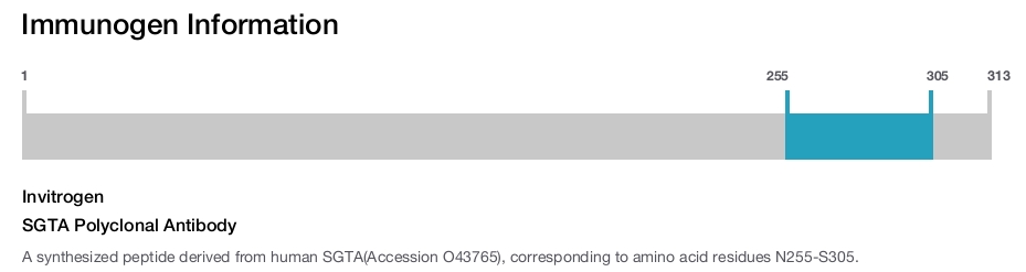 SGTA Polyclonal Antibody