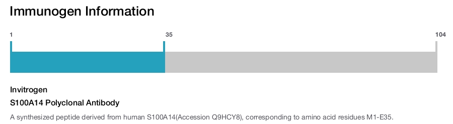S100A14 Polyclonal Antibody