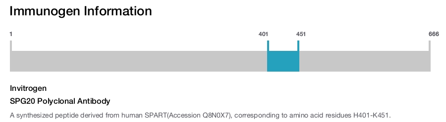 SPG20 Polyclonal Antibody