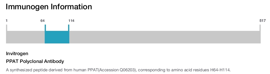 PPAT Polyclonal Antibody