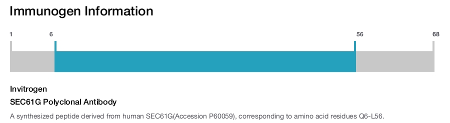 SEC61G Polyclonal Antibody