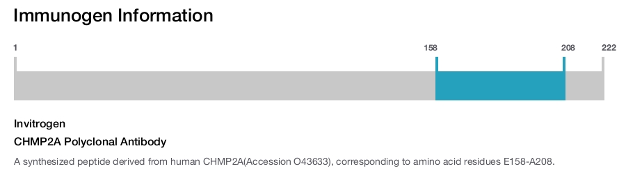 CHMP2A Polyclonal Antibody