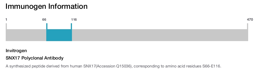 SNX17 Polyclonal Antibody