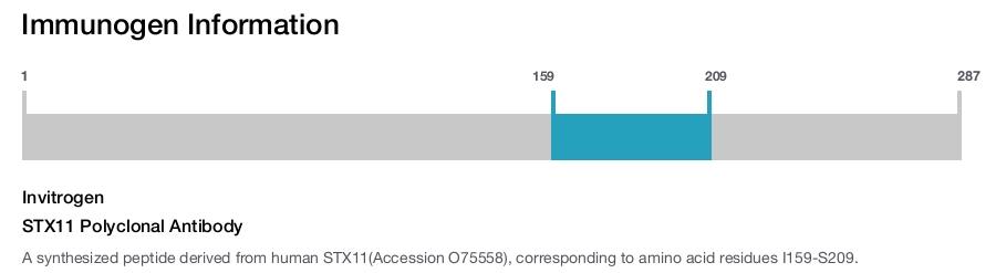 STX11 Polyclonal Antibody