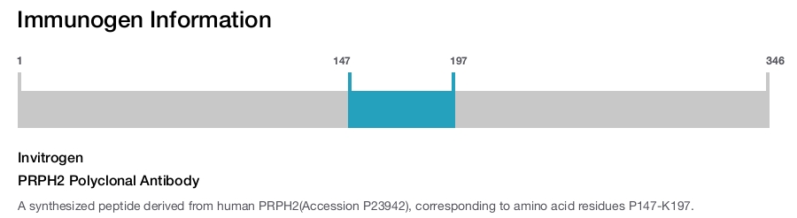 PRPH2 Polyclonal Antibody