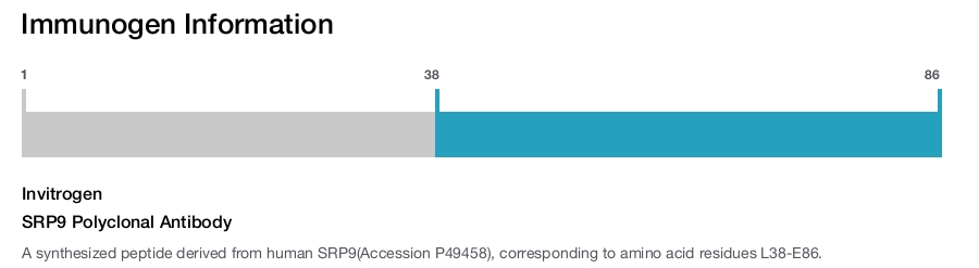 SRP9 Polyclonal Antibody