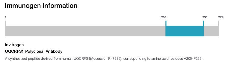UQCRFS1 Polyclonal Antibody