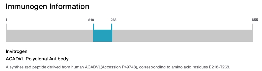 ACADVL Polyclonal Antibody