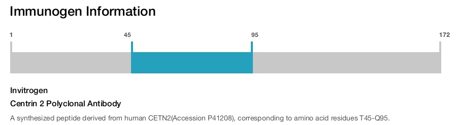 Centrin 2 Polyclonal Antibody