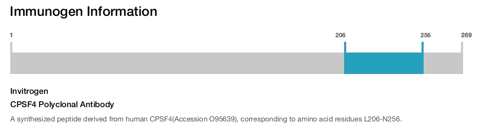 CPSF4 Polyclonal Antibody
