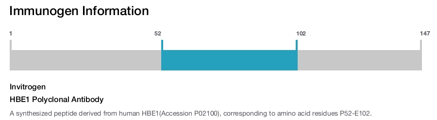 HBE1 Polyclonal Antibody