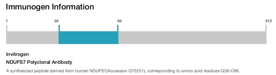 NDUFS7 Polyclonal Antibody
