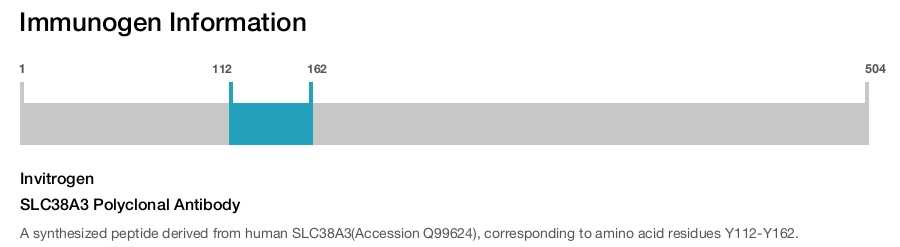 SLC38A3 Polyclonal Antibody