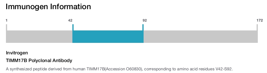 TIMM17B Polyclonal Antibody